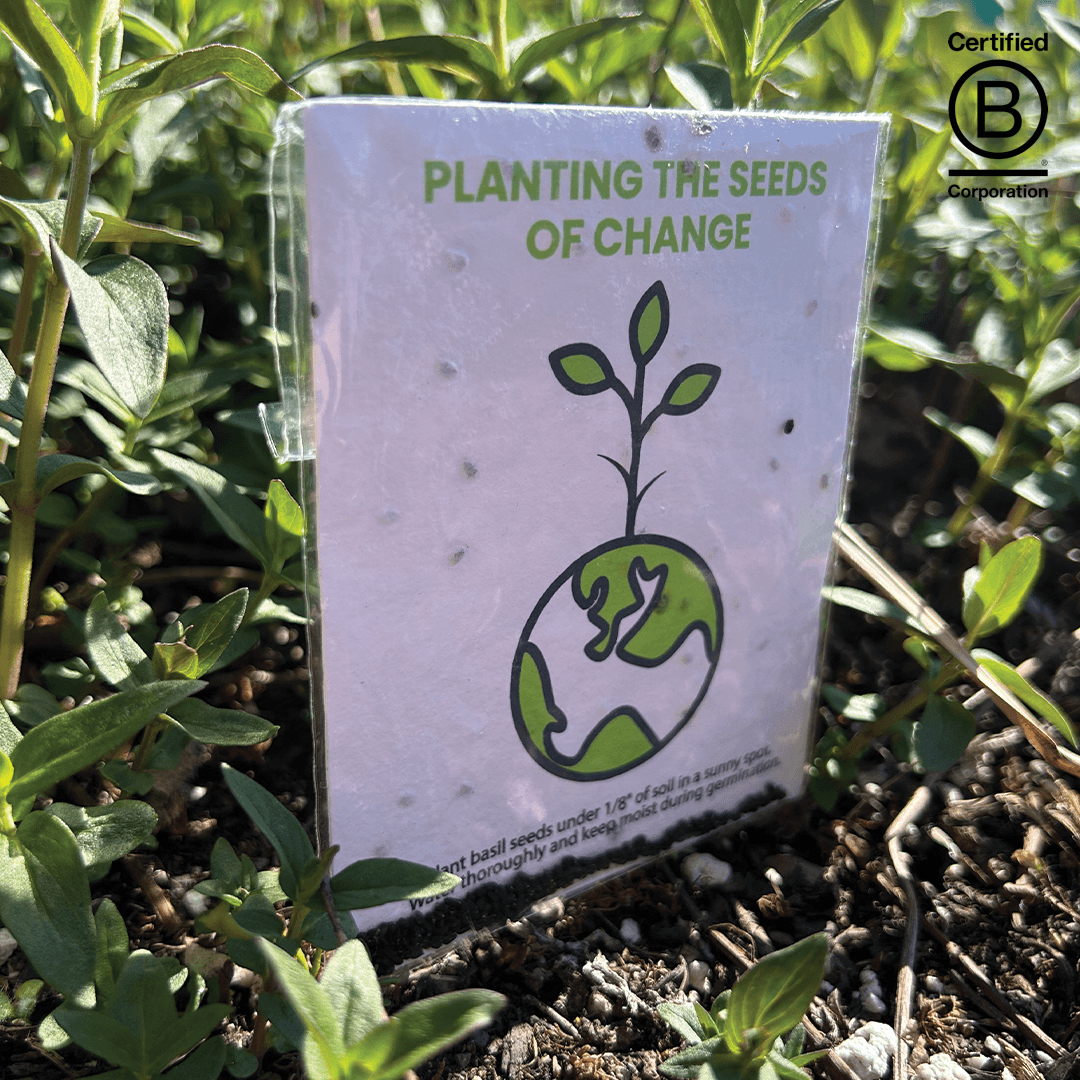 Basil Seed Packet 2 Sided product photo
