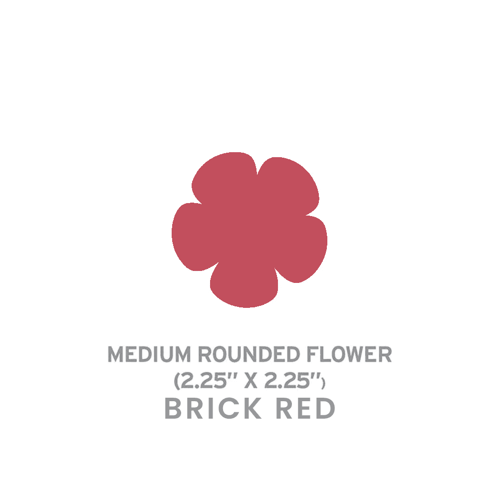 Medium Seed Paper Shapes - Two Sided